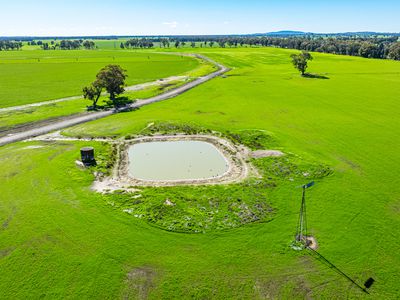 'Pastoria Park' 205 Balldale Road, Hopefield