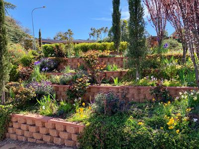3 Mendos Place, Parkes