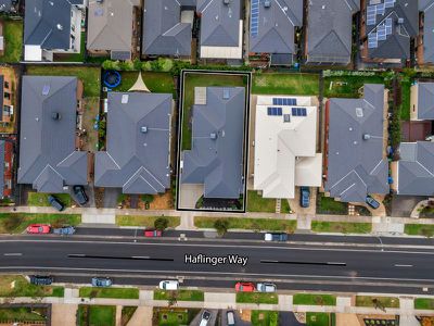 10 Haflinger Avenue, Clyde North