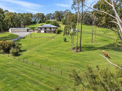 7 Clydesdale Lane, Jamieson