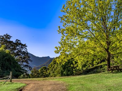 392 TUNTABLE FALLS ROAD, Nimbin