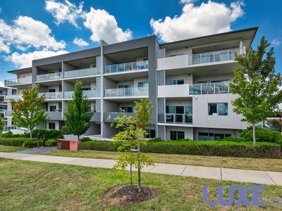 242 / 36 Philip Hodgins Street, Wright