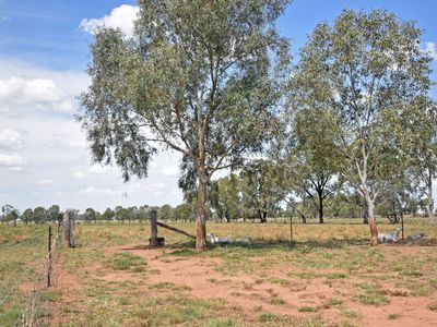 4L Cumboogle Road, Dubbo