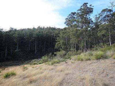 26 Acres Off Abbots Road, Nicholls Rivulet