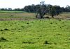 Lot 42, 46 Forest Road, Orange