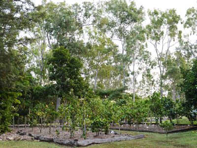 53 Mountney Road, Strathdickie