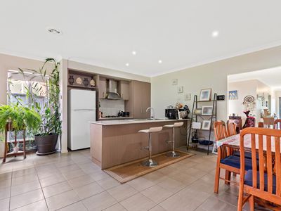 11 Rifflebird Drive, Tarneit