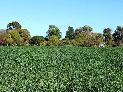 307 Hornsby Road, Cohuna