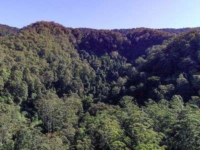 553 Crofton Road, Nimbin
