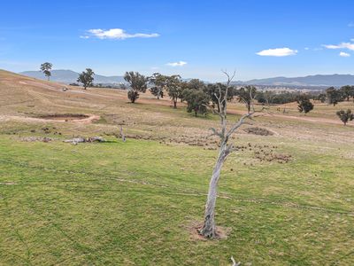 Lot 21 Stoneleigh Park Estate, Mansfield