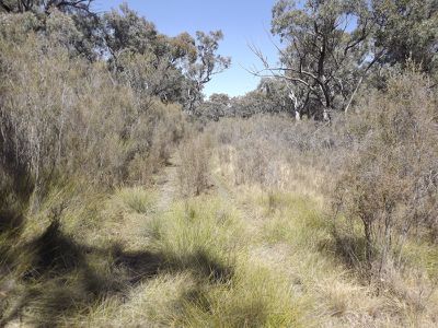 3 / Billabong Waters, Emmaville