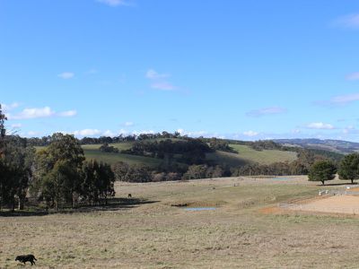 117 Diamond Swamp Road, Meadow Flat