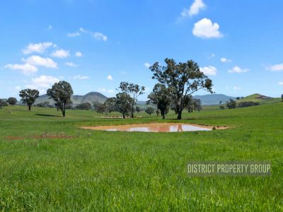 4 Lily Court, Mansfield