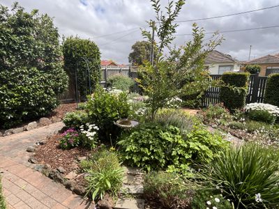37 Sycamore Street, Hamlyn Heights