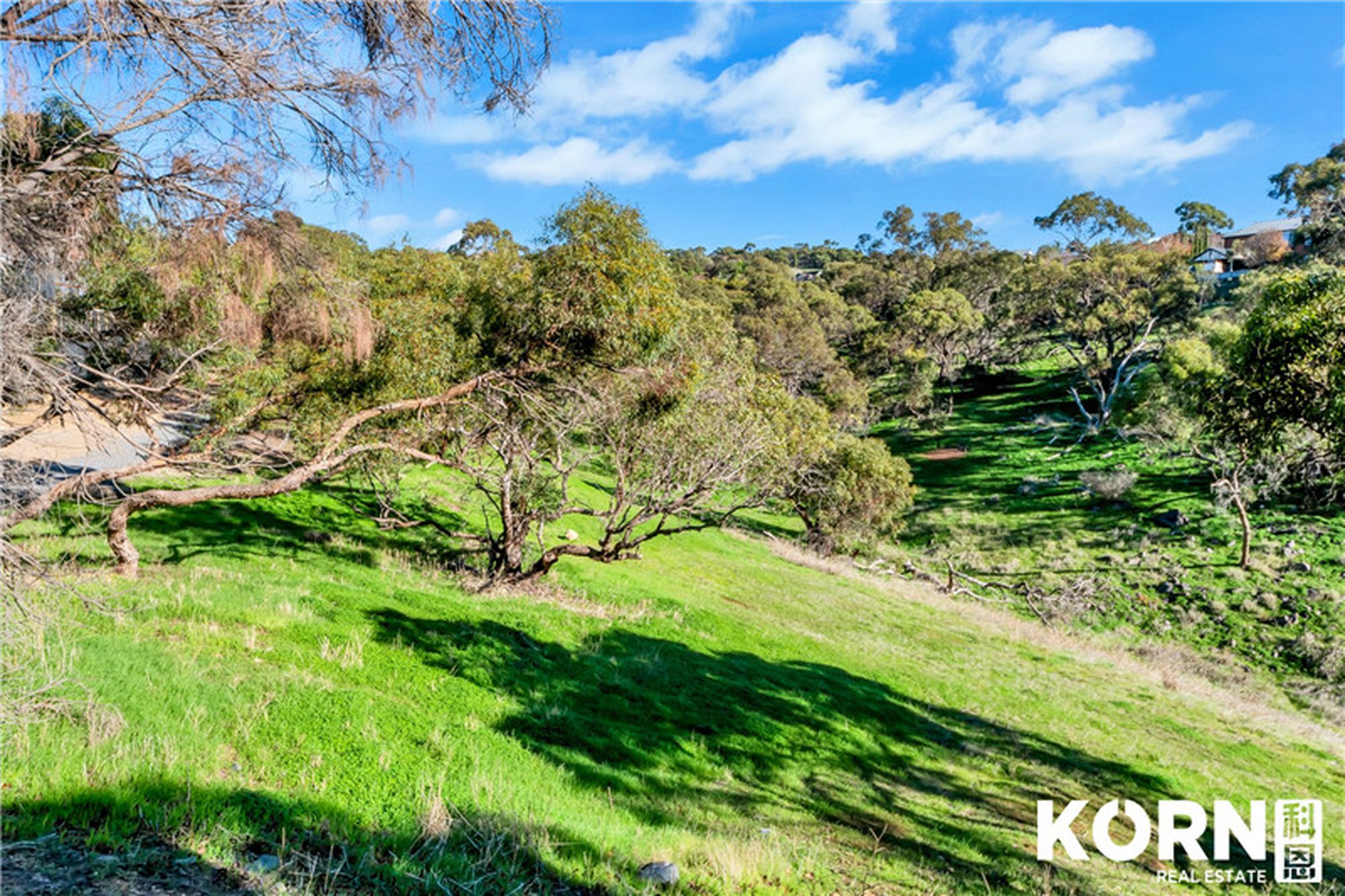3 SIMPSON COURT, Golden Grove
