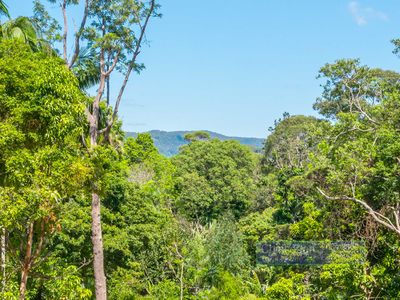 16A Azalea Street, Mullumbimby