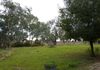 Molong