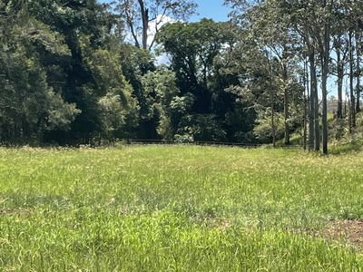 Lot 131 Bunnoo River Road, Ellenborough