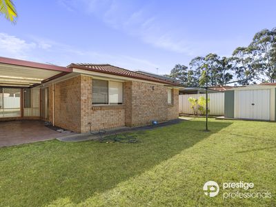 47 Lyndhurst Court, Wattle Grove