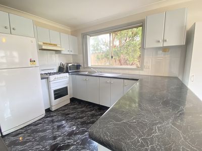 3 / 3 Wallaby Street, Blackbutt