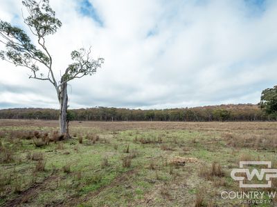 1642 Torrington Road, Stannum