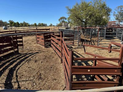 117 Hillside Lane, Parkes