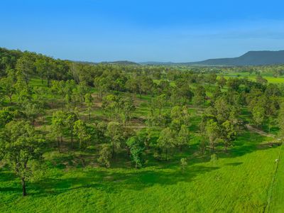 80 Armstrong Road, Biddaddaba