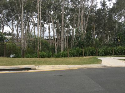 3 / 2 Lemur Parade, Dakabin