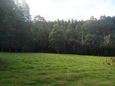 Lot 1 Huon Highway, Strathblane