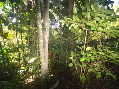 51 Waterfall Place, Jubilee Heights