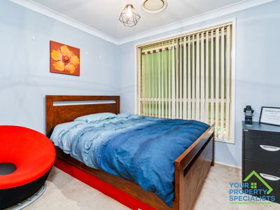 17 Cedar Wattle Place, Narellan Vale
