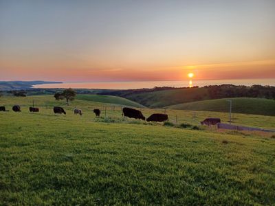 333 Smith Hill Road, Carrickalinga