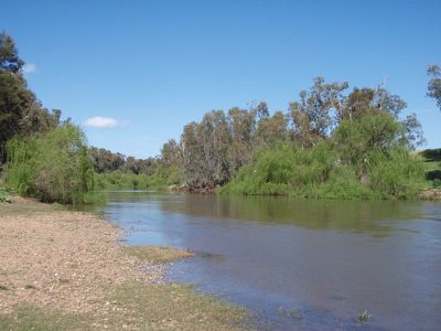Lot 2 Lot 2 The Angle Estate, Dubbo