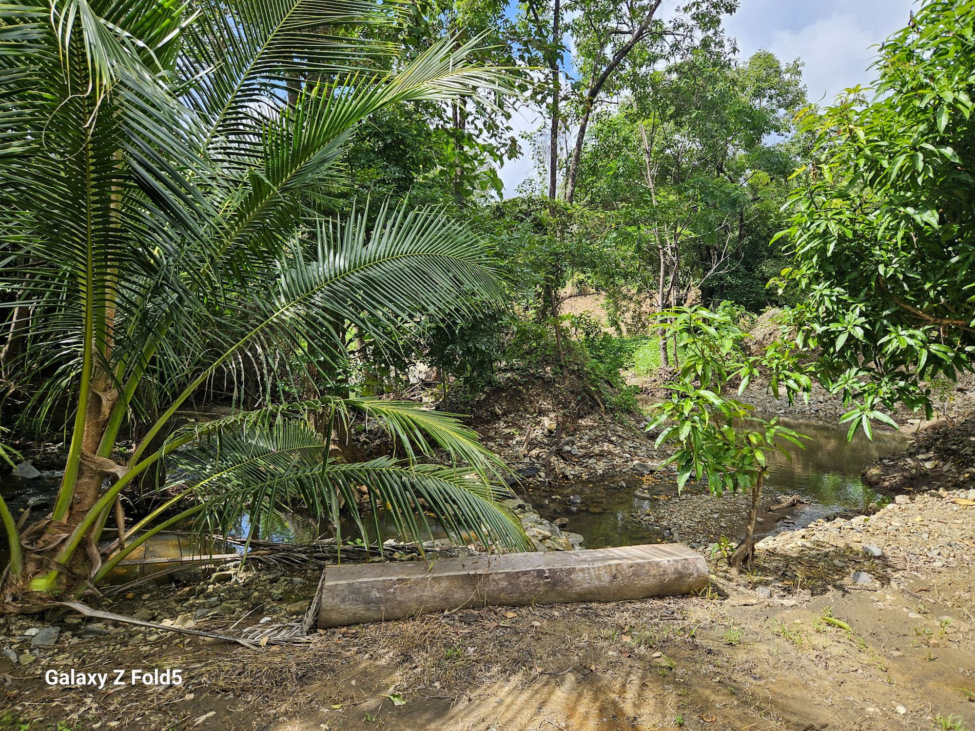 61 Idress Drive, Cooktown