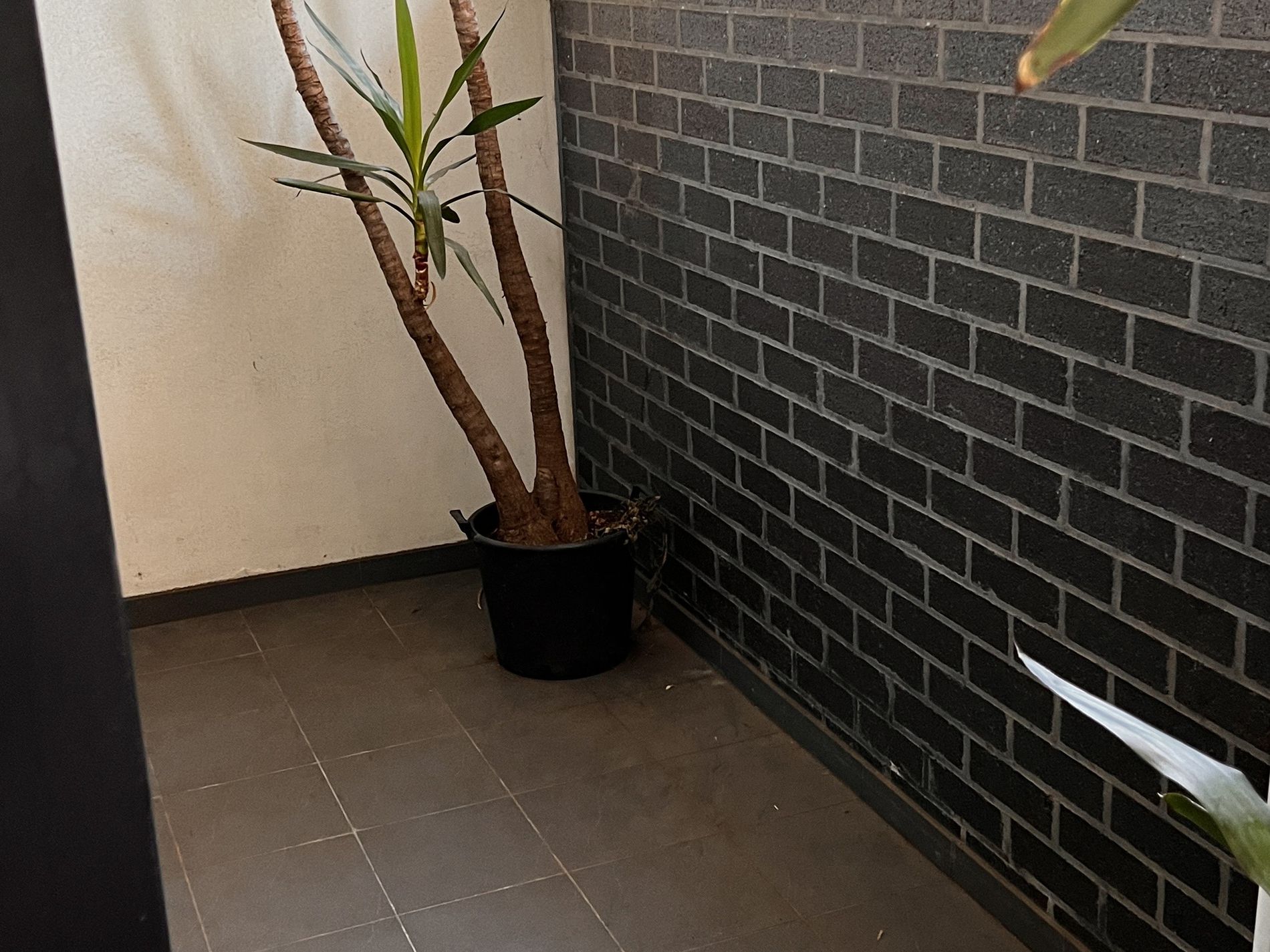 G08/232-242 Rouse Street, Port Melbourne