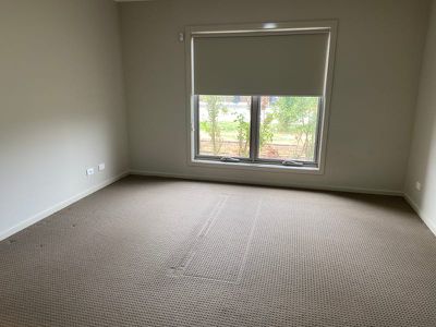 81 Bluebell Drive, Craigieburn