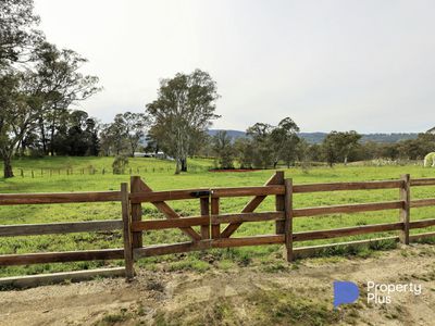 17 Twyford Street, Harcourt