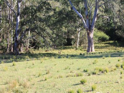 119E Mackays Road, Kangaroo Valley