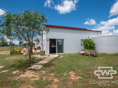 6 Saleyards Road, Bingara