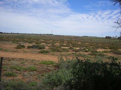 Kerang