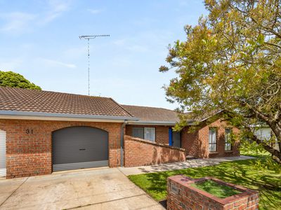 31 Wyatt Street, Mount Gambier