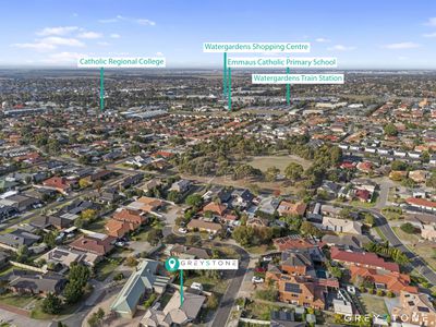 10 Pastoral Place, Sydenham