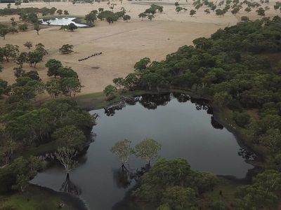 93 Mount McIntyre Road, Mount Mcintyre