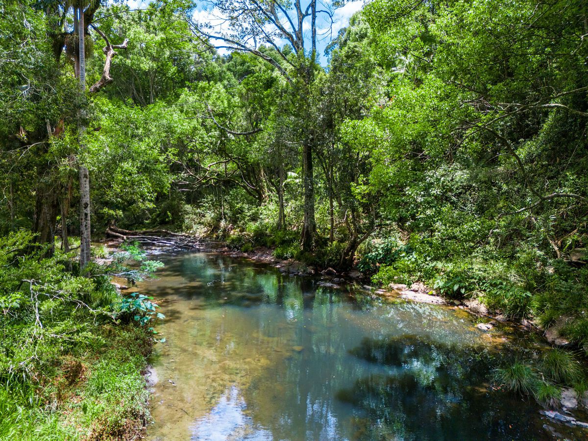 20 Lilly Pilly Road, Wilsons Creek