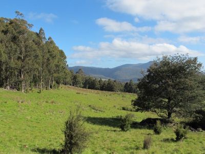 Halls Track Road, Pelverata