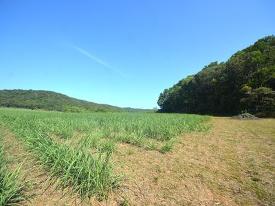 164 Gangemi Road, Lower Cowley