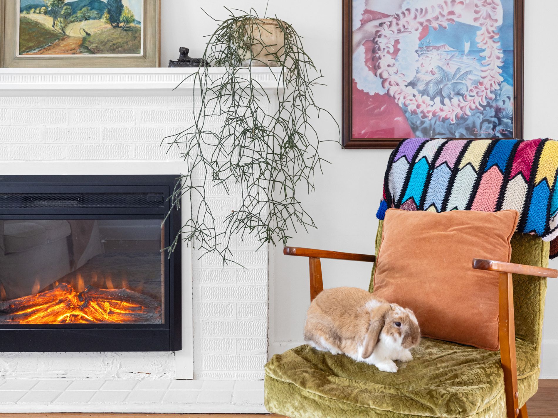 21 Napoleon Street, West Footscray