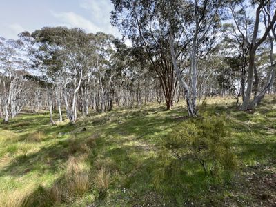 Lot 143, 6875 Taralga Road, Taralga