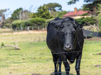 49 Model Lane, Port Fairy