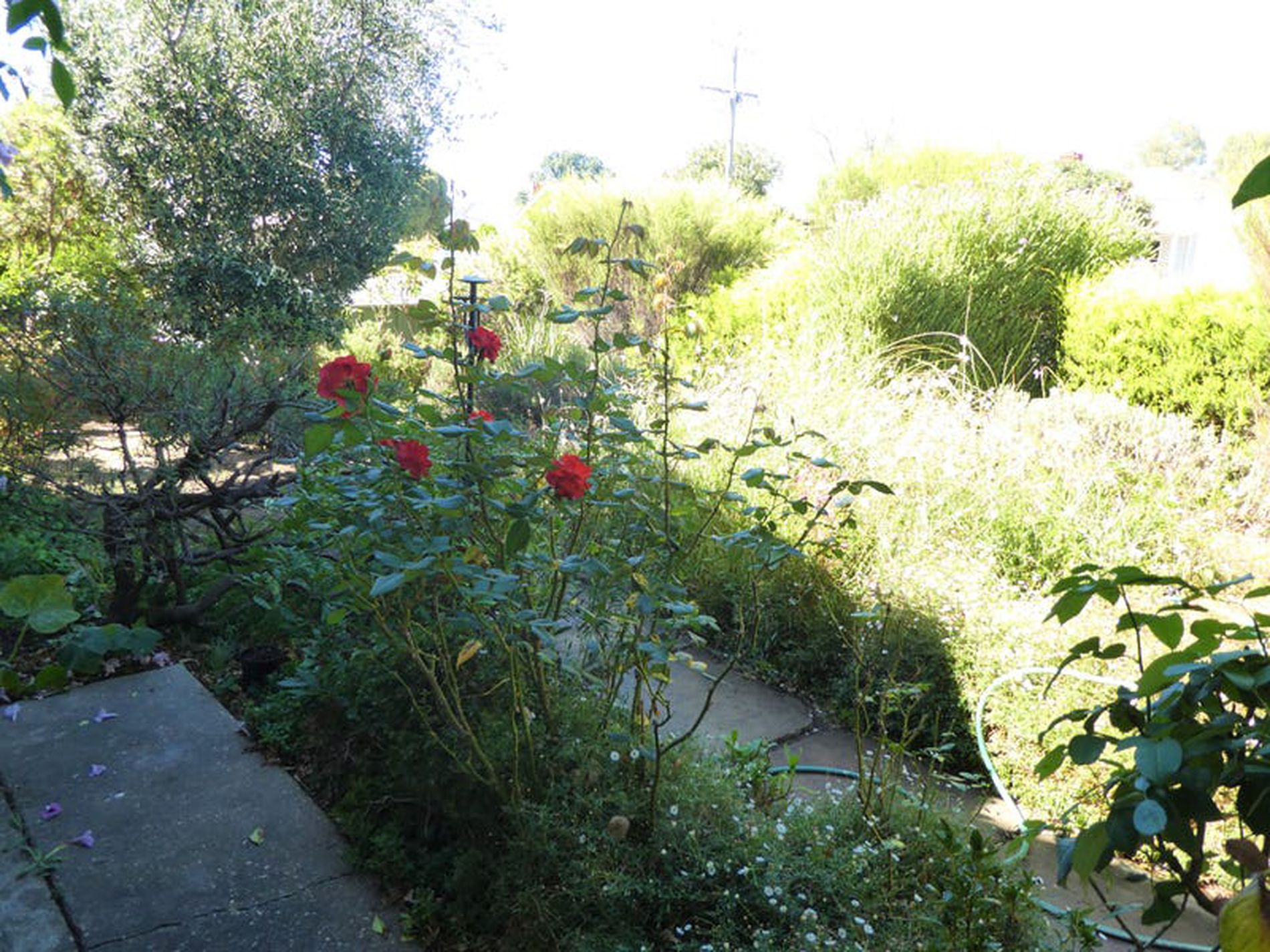 37 Wimble St, Seymour